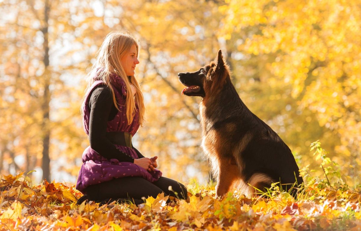 Ultimate 11 Dog Breeds That Are Natural Caretakers of Their
Humans