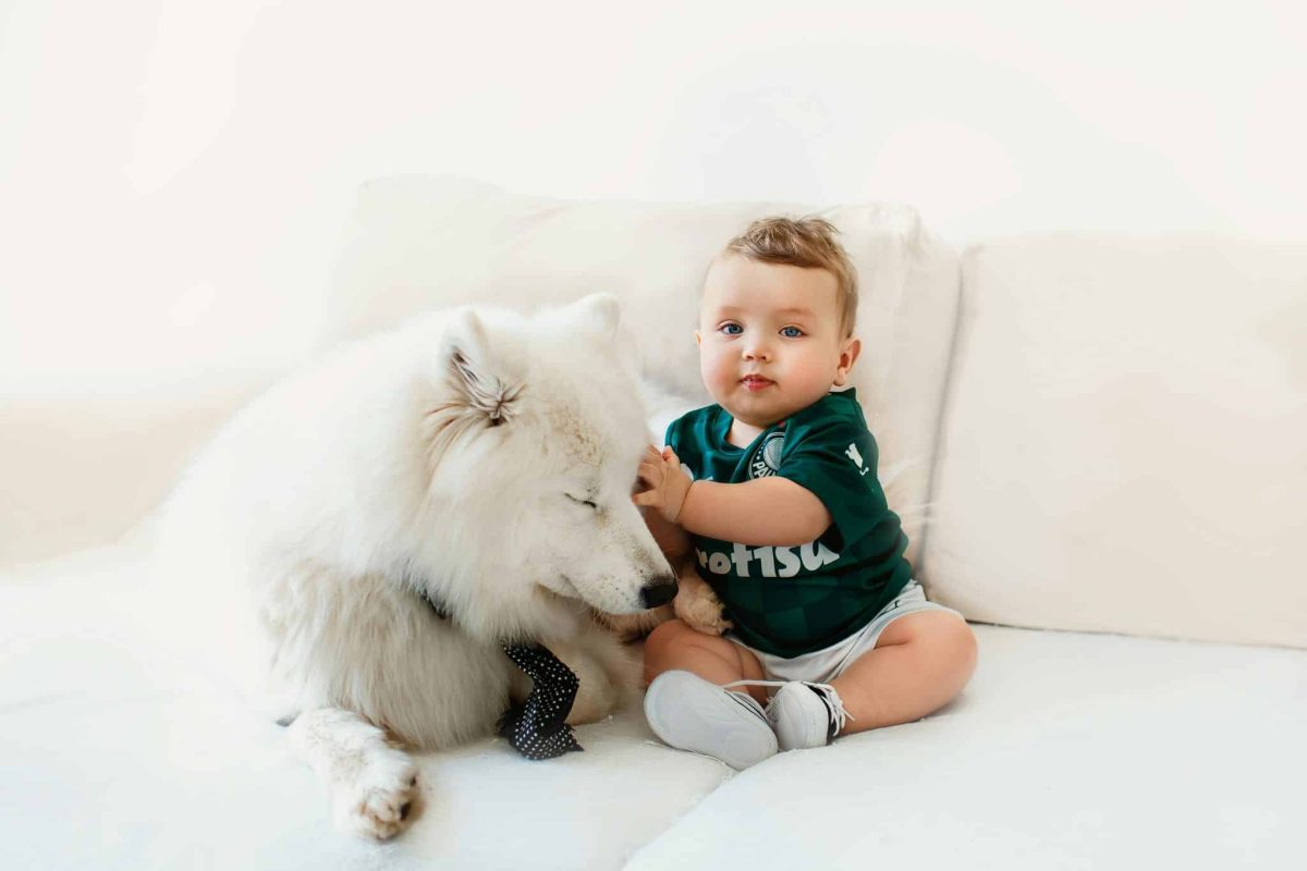 Ultimate 15 Dog Breeds That Make Family Life Feel
Complete