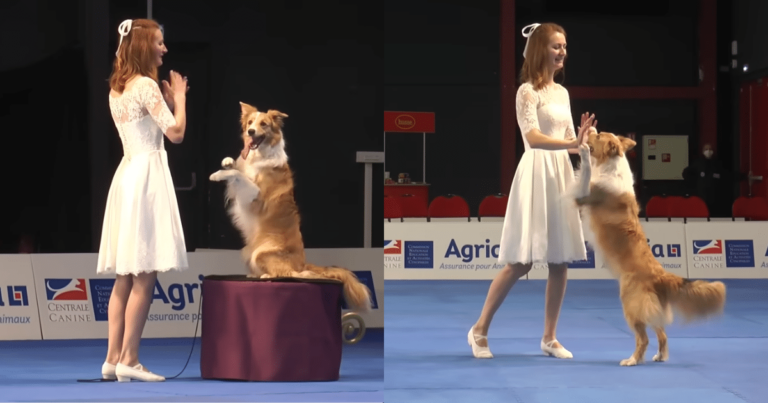 Woman’s Stunning Slow Dance With Dog is the Picture of
Grace